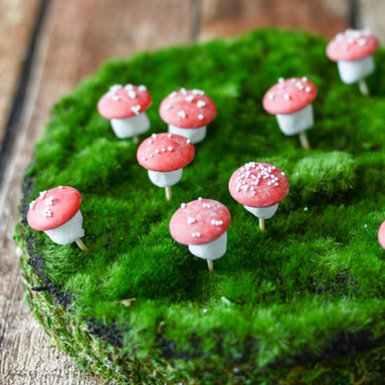 Chocolate Marshmallow Toadstools - Recipe photo by tikkido