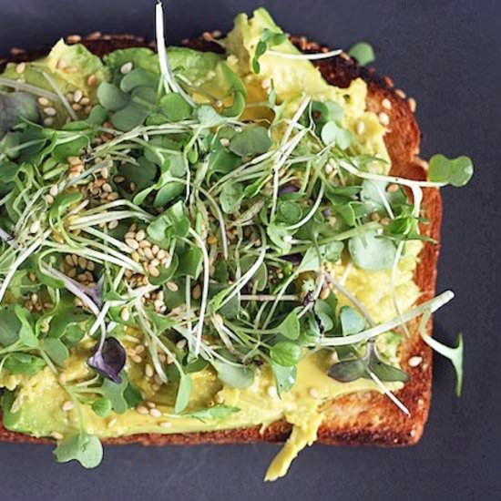 Avocado toasts with micro greens - Recipe photo by adoring-kitchen