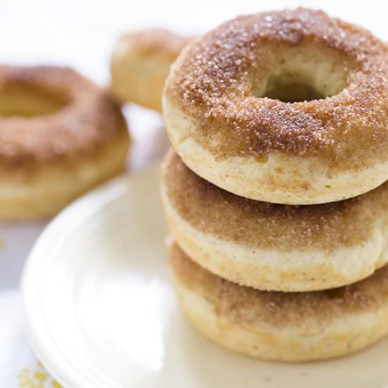 Baked Cinnamon Donuts - Recipe photo by LisaJohnson