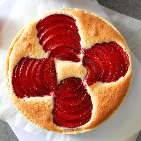 Honey Pluot & Almond Tart - Recipe photo by incookiehaven