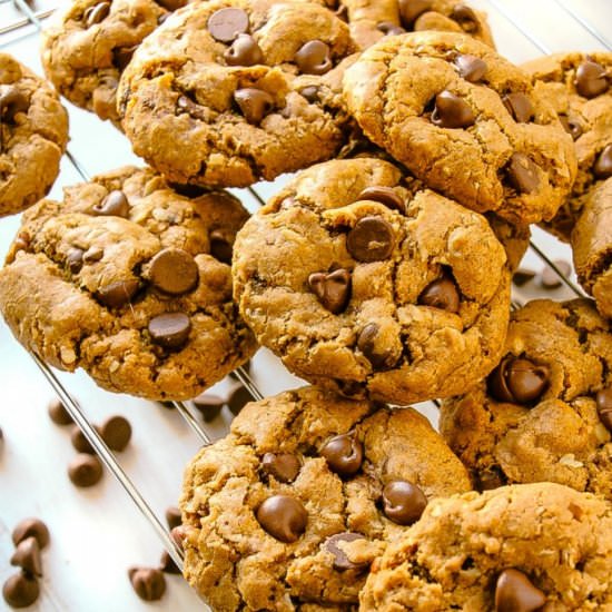 Pumpkin Chocolate Chip Cookies - Recipe photo by layersofhappiness