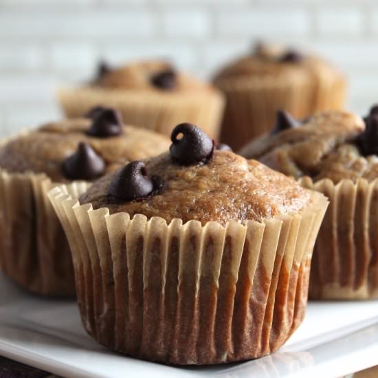Chocolate Chip Banana Muffin - Recipe photo by 360familynutrition
