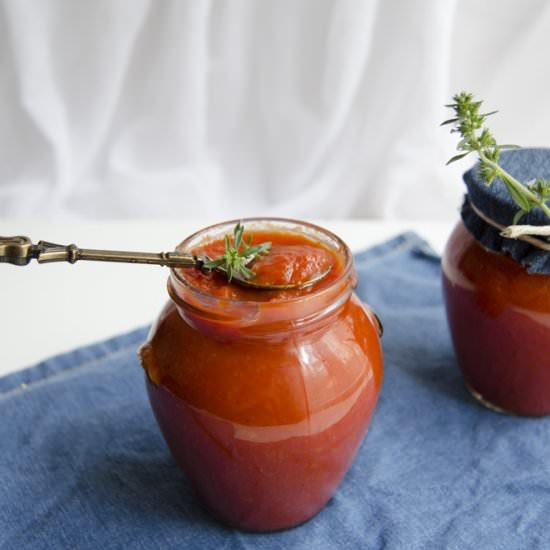 Homemade ketchup - Recipe photo by Biochimist_la_cratita