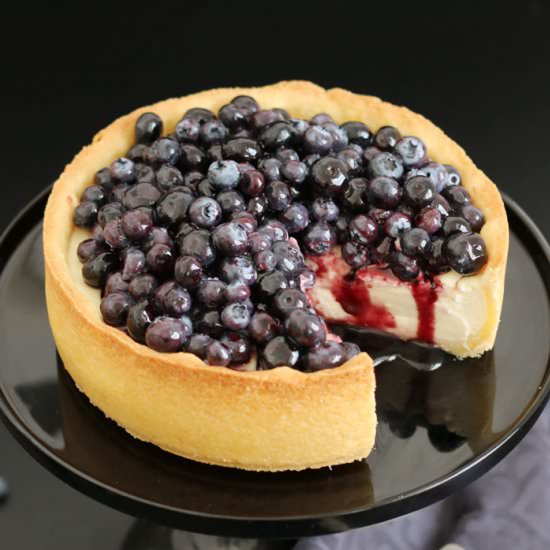Creamy Blueberry Cheesecake - Recipe photo by baketotheroots