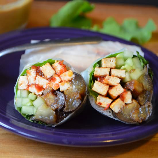 Eggplant and Spicy Tofu Spring Roll - Recipe photo by AvocadosandAles