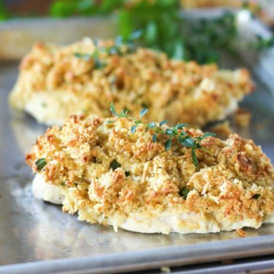 Baked Parm Dijon Crusted Chicken - Recipe photo by laughingspatula.com