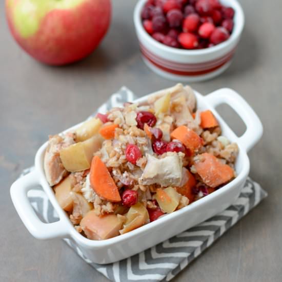 Slow Cooker Apple Cranberry Chicken - Recipe photo by TheLeanGreenBean