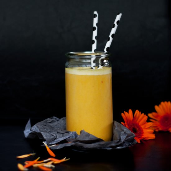 Pumpkin Smoothie - Recipe photo by DeniseRenee