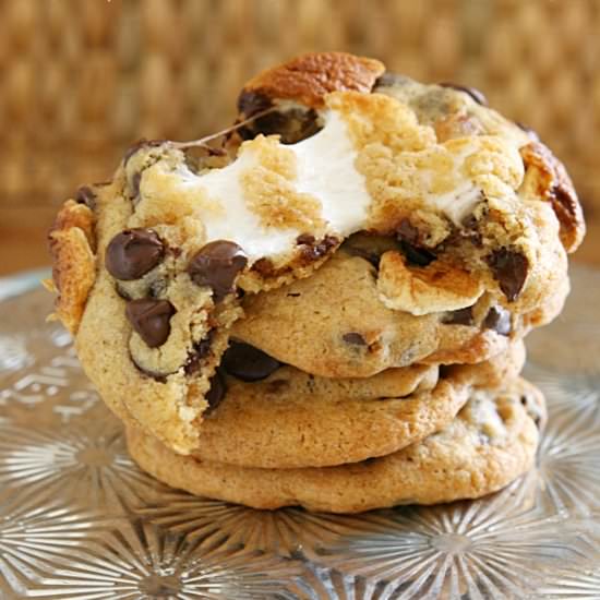 Biscoff S'mores Cookies - Recipe photo by yummycrumble