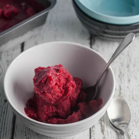 Cranberry Orange Sorbet - Recipe photo by blenderhappy