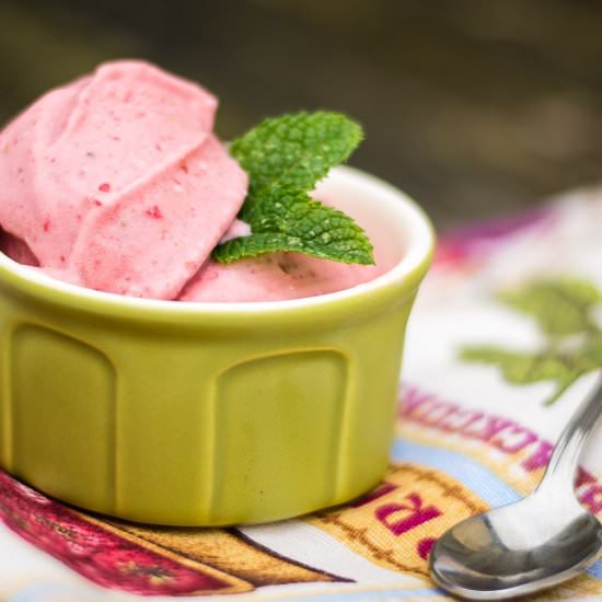 Dairy-Free Vegan Strawberry Coconut - Recipe photo by adashofoliveoil