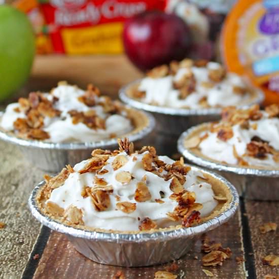 No Bake Fruit and Yogurt Crumble Pie - Recipe photo by SavorySpin