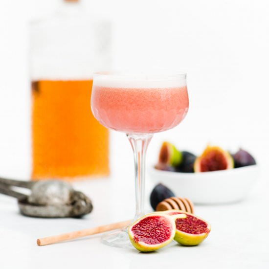 Fig & Bourbon Sour - Recipe photo by theadventuresofbobandshan