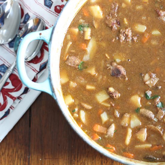 Beef Stew With Beer - Recipe photo by asouthernmother