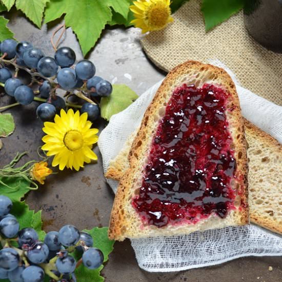 Homemade Concord Grape Jelly - Recipe photo by shelovesbiscotti