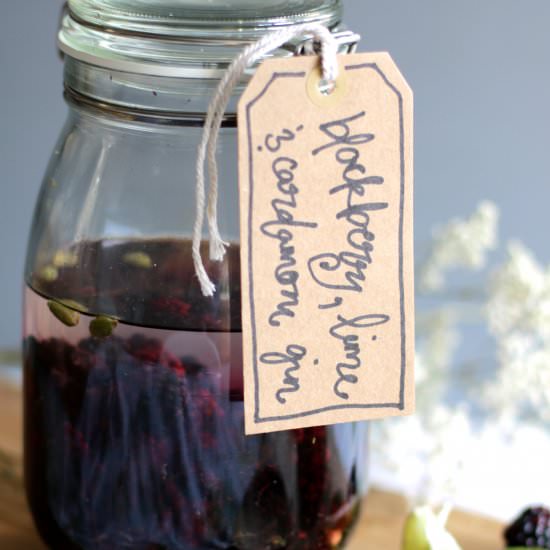 Blackberry, Lime and Cardamom Gin - Recipe photo by gatheredthreads