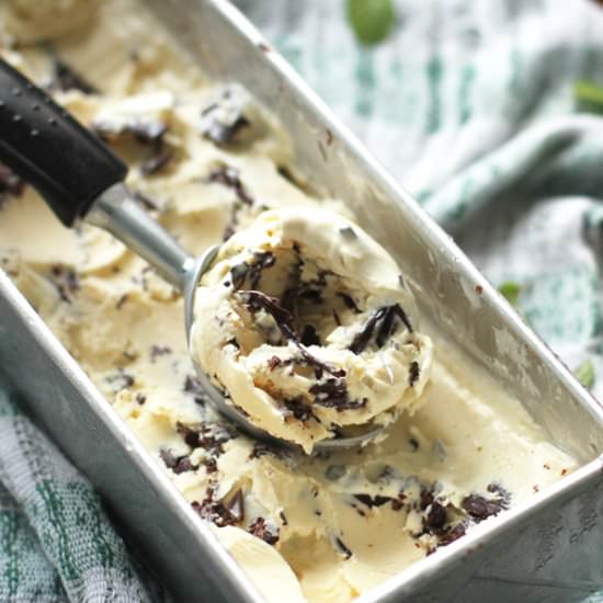 Mint Chocolate Chip Ice Cream - Recipe photo by the tummy train
