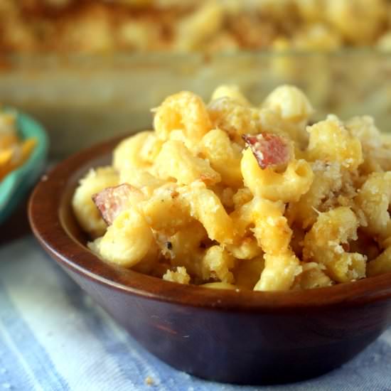"Big Kid" Cavatappi Mac and Cheese - Recipe photo by blackberrybabe
