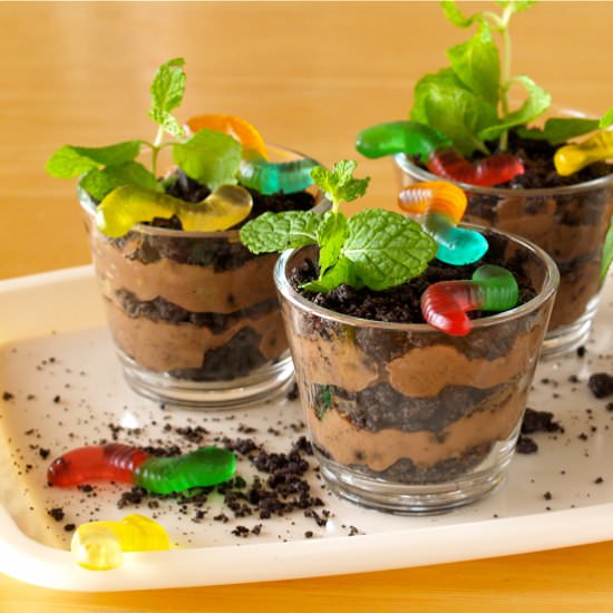 Dirt Cups with Worms - Recipe photo by ochikeron