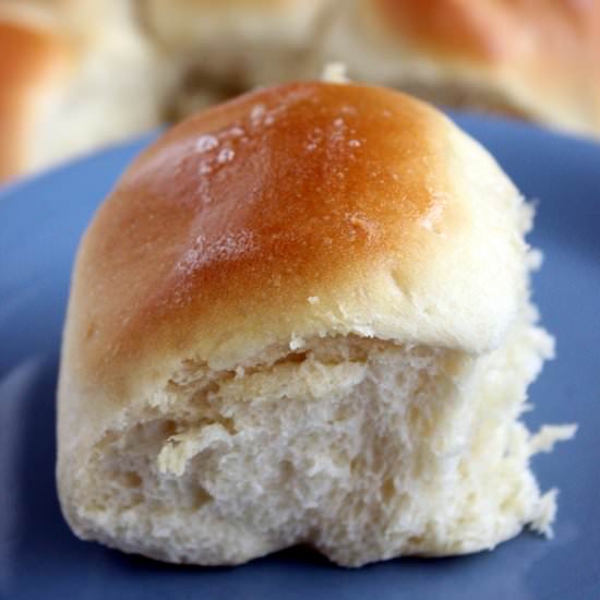 Classic Dinner Rolls - Recipe photo by thesemisweetsisters