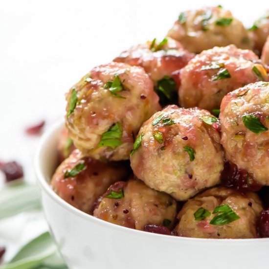 Apple Cranberry Turkey Meatballs - Recipe photo by wellplated