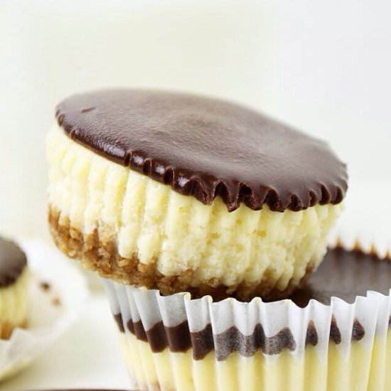 Cheesecakes with Chocolate Ganache - Recipe photo by goodmorningcali