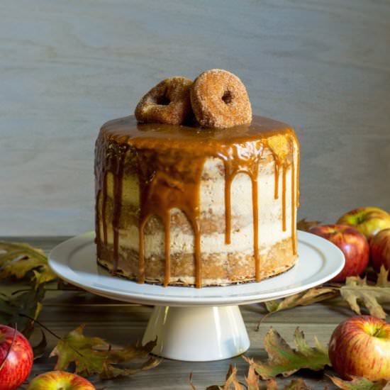Apple Cider Doughnut Cake - Recipe photo by brooklyn homemaker