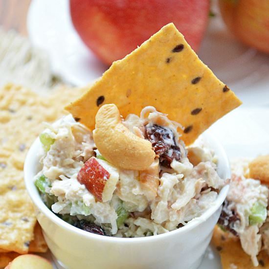 Apple, Chicken, and Cherry Salad - Recipe photo by Breezy Bakes