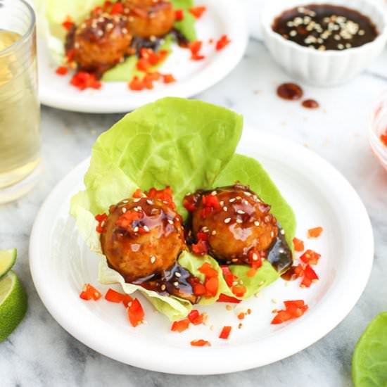 Baked Chicken Meatballs with Sweet Sauce - Recipe photo by afarmgirlsdabbles