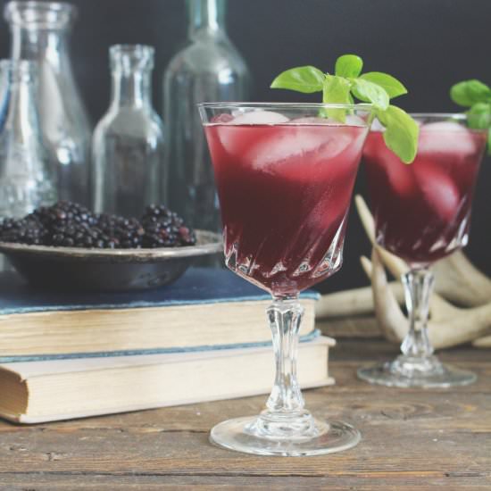 Blackberry Cran-Apple Punch - Recipe photo by theanastasiaco