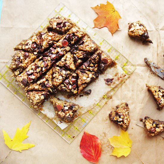 Caramel Banana Chocolate Oat Bars - Recipe photo by beetsandberries