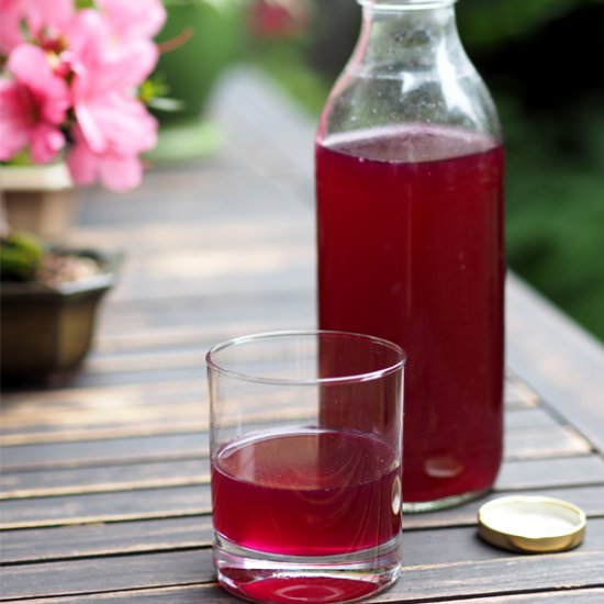 Beetroot Kvass - Recipe photo by cityhippyfarmgirl