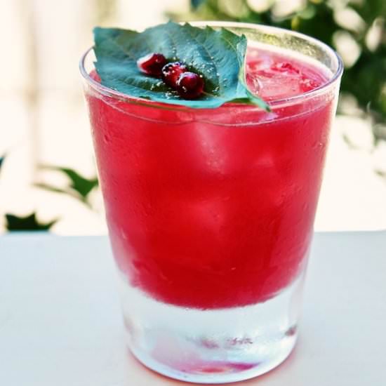 Pomegranate Basil Margaritas - Recipe photo by marla meridith
