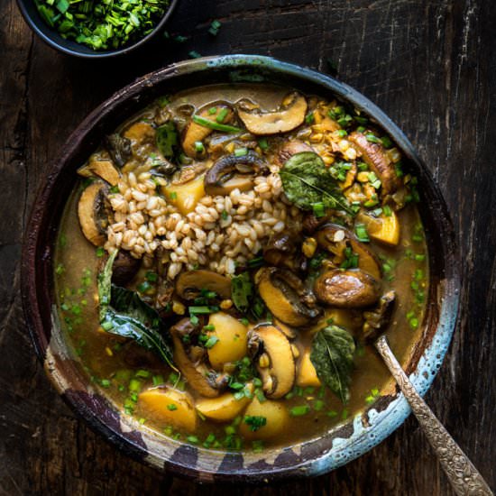 Mushroom, Curry, Barley Soup - Recipe photo by wild greens