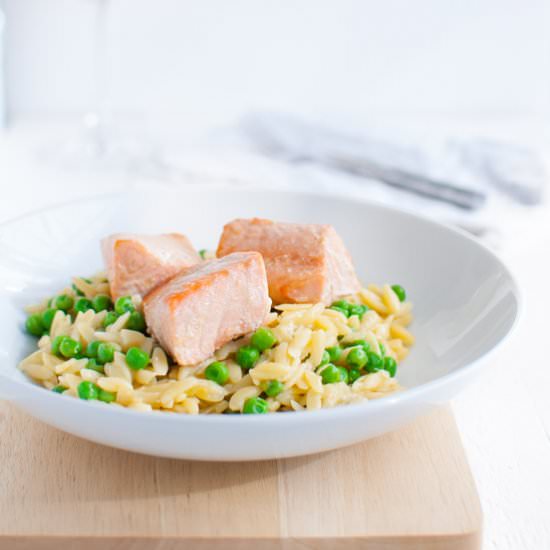 Parmesan Orzo with Salmon and Peas - Recipe photo by tamingofthespoon