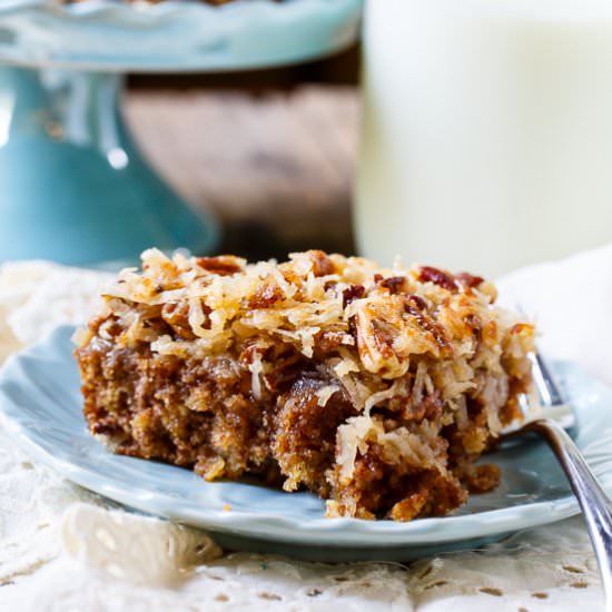 Oatmeal Cake - Recipe photo by spicysouthernkitchen