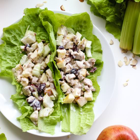 vegan tuna salad lettuce wraps - Recipe photo by theyoopergirl