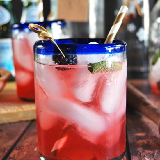 Blackberry Elderflower Mint Collins - Recipe photo by thecharmingdetroiter