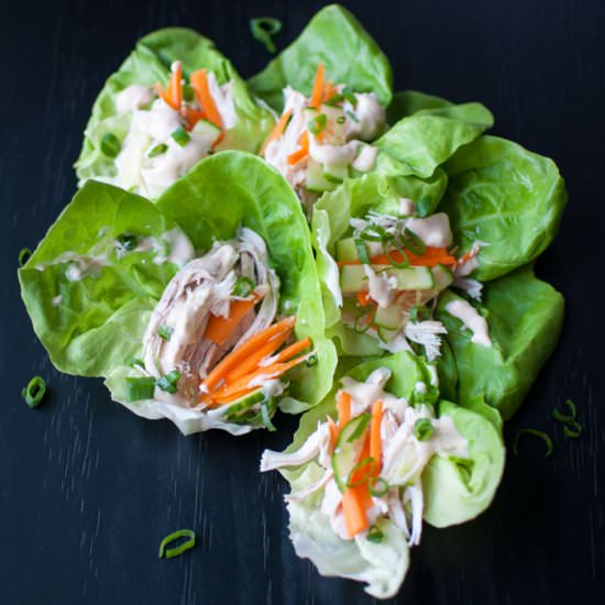Chicken Lettuce Wraps - Recipe photo by saltandlavender