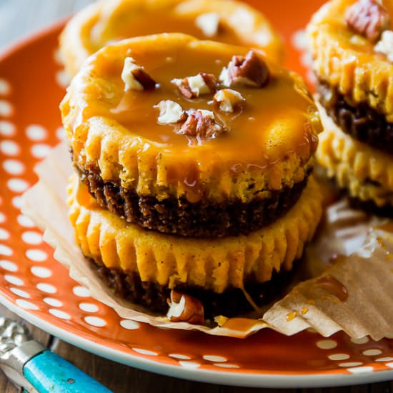 Salted Caramel Pumpkin Cheesecakes - Recipe photo by sallysbakingaddiction