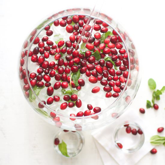 Cranberry Mint Water - Recipe photo by OhSoDelicioso