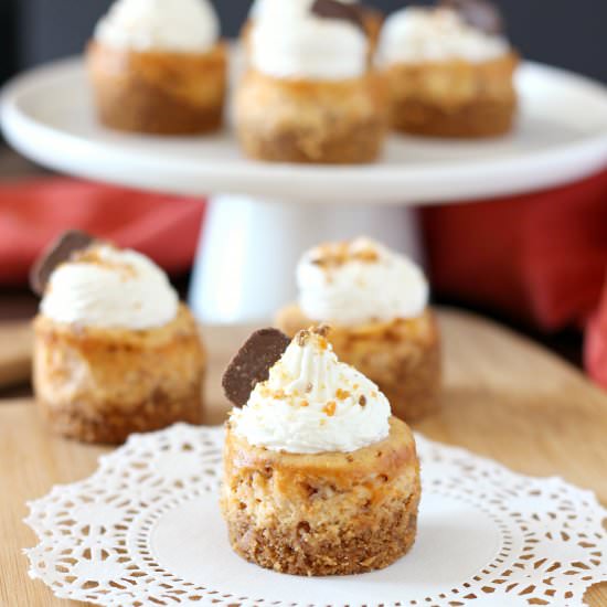 Mini Butterfinger Cheesecakes - Recipe photo by mykitchencraze