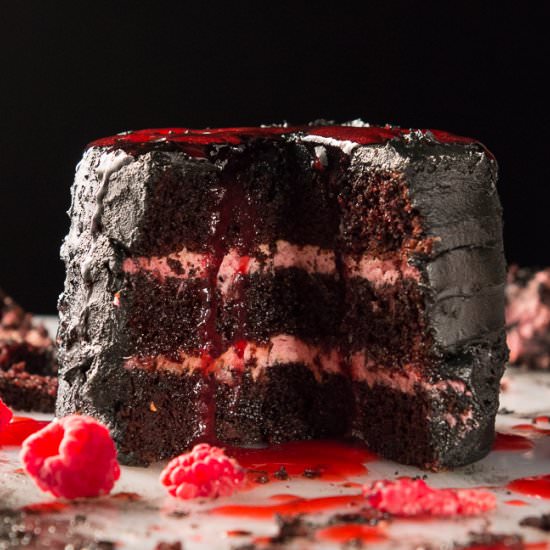 Black Cocoa & Raspberry Cream Cake - Recipe photo by road to honey
