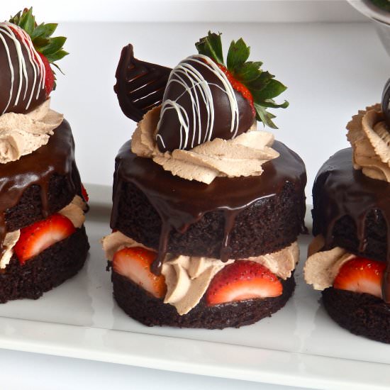 The BEST Devils Food Cake - Recipe photo by BakingWithDan