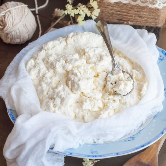 Homemade Ricotta Cheese - Recipe photo by Gastro Senses