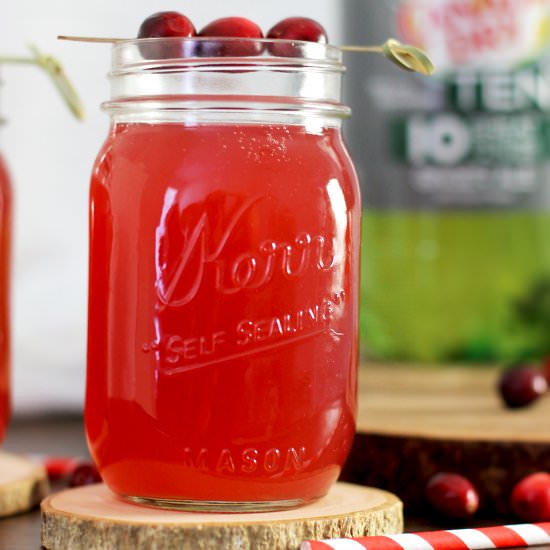 Cranberry Ginger Gin Fizz - Recipe photo by Lipglosscrayons