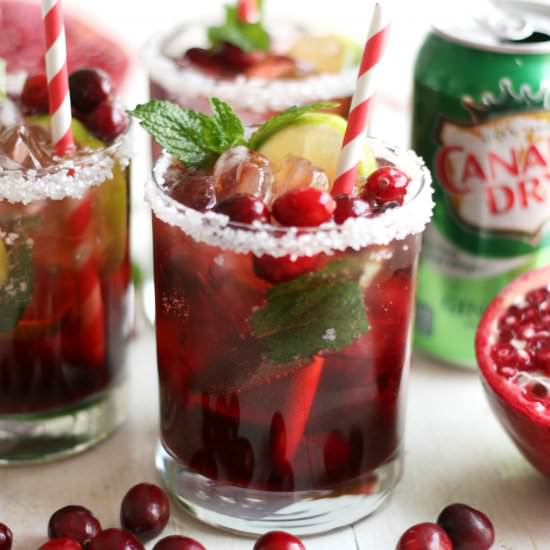 Holiday Mojito Mocktail - Recipe photo by prettylifegirls