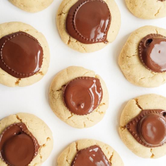 Peanut Butter Cup Blossoms - Recipe photo by Rachlmansfield