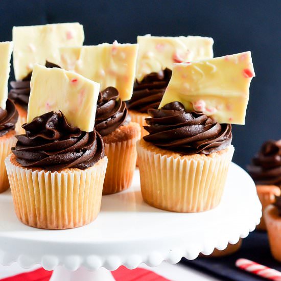Frosted Cupcakes & Candy Cane Bark - Recipe photo by Cakes By Chichi