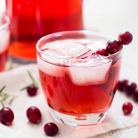 Apple Cranberry Ginger Ale Spritzer - Recipe photo by platingpixels